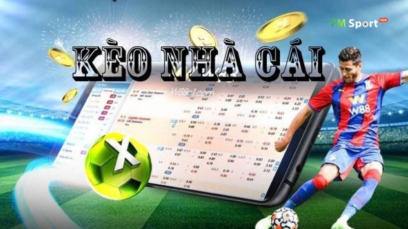 Bạn đã biết tỷ lệ kèo nhà cái là gì hay chưa? Bạn đã biết tỷ lệ kèo nhà cái là gì hay chưa?